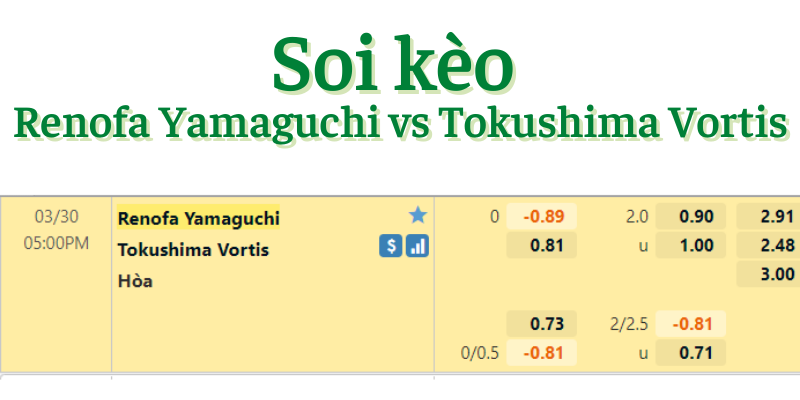 Soi kèo Renofa Yamaguchi vs Tokushima Vortis