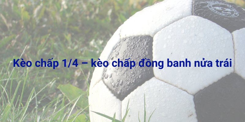 keo-chap-1:4-2