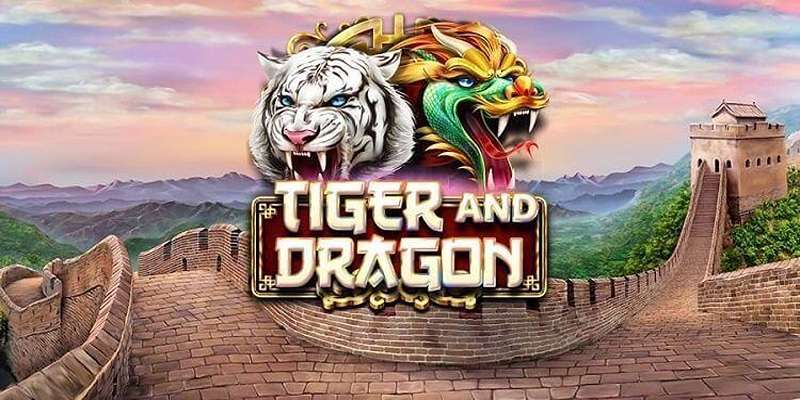 Có nên tham gia chơi Dragon Tiger 78win