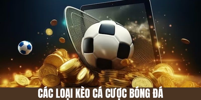 Các Loại Kèo Cá Cược Bóng Đá - Hướng Dẫn Đầu Tư Hiệu Quả